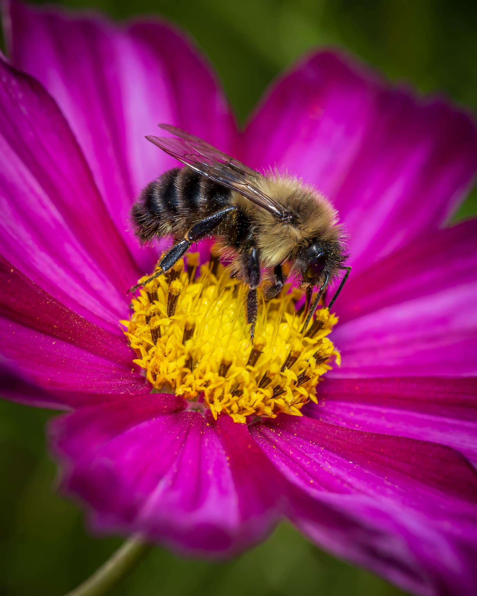 2026 Creature Calendar