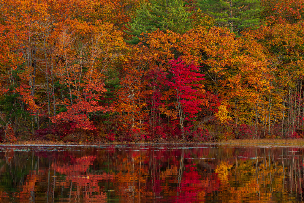 New England Autumn