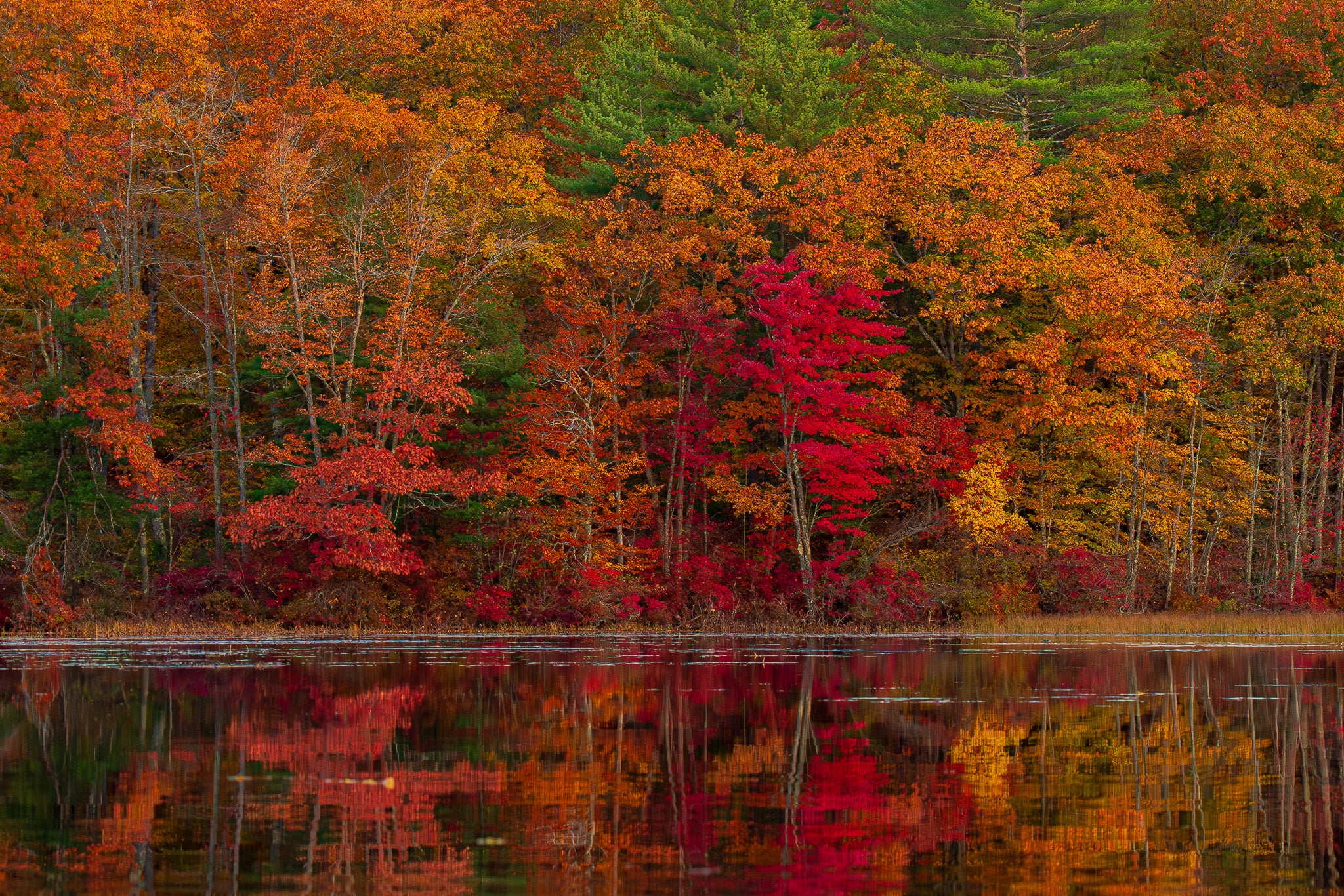 New England Autumn