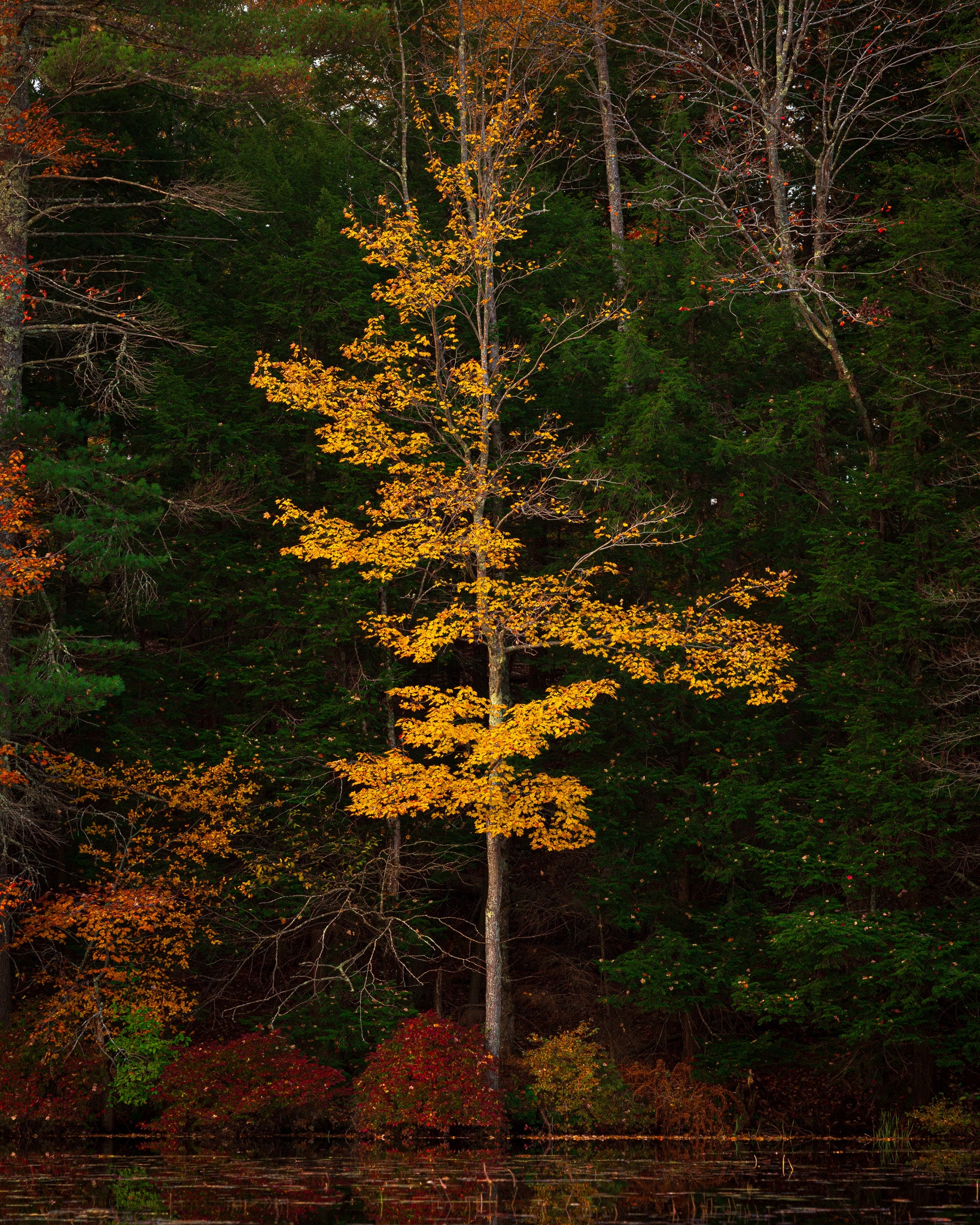 New England Autumn