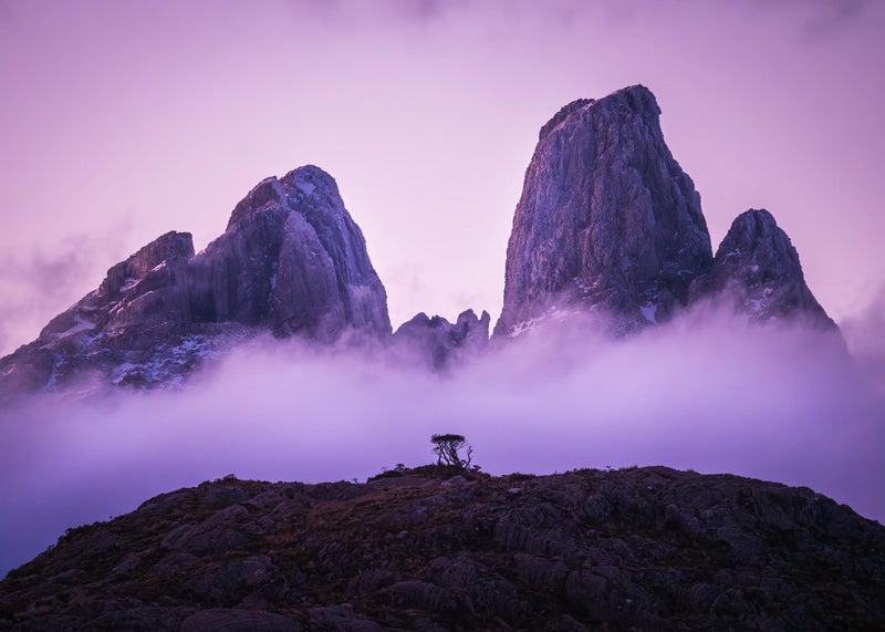 Grupo la Paz at Twilight 