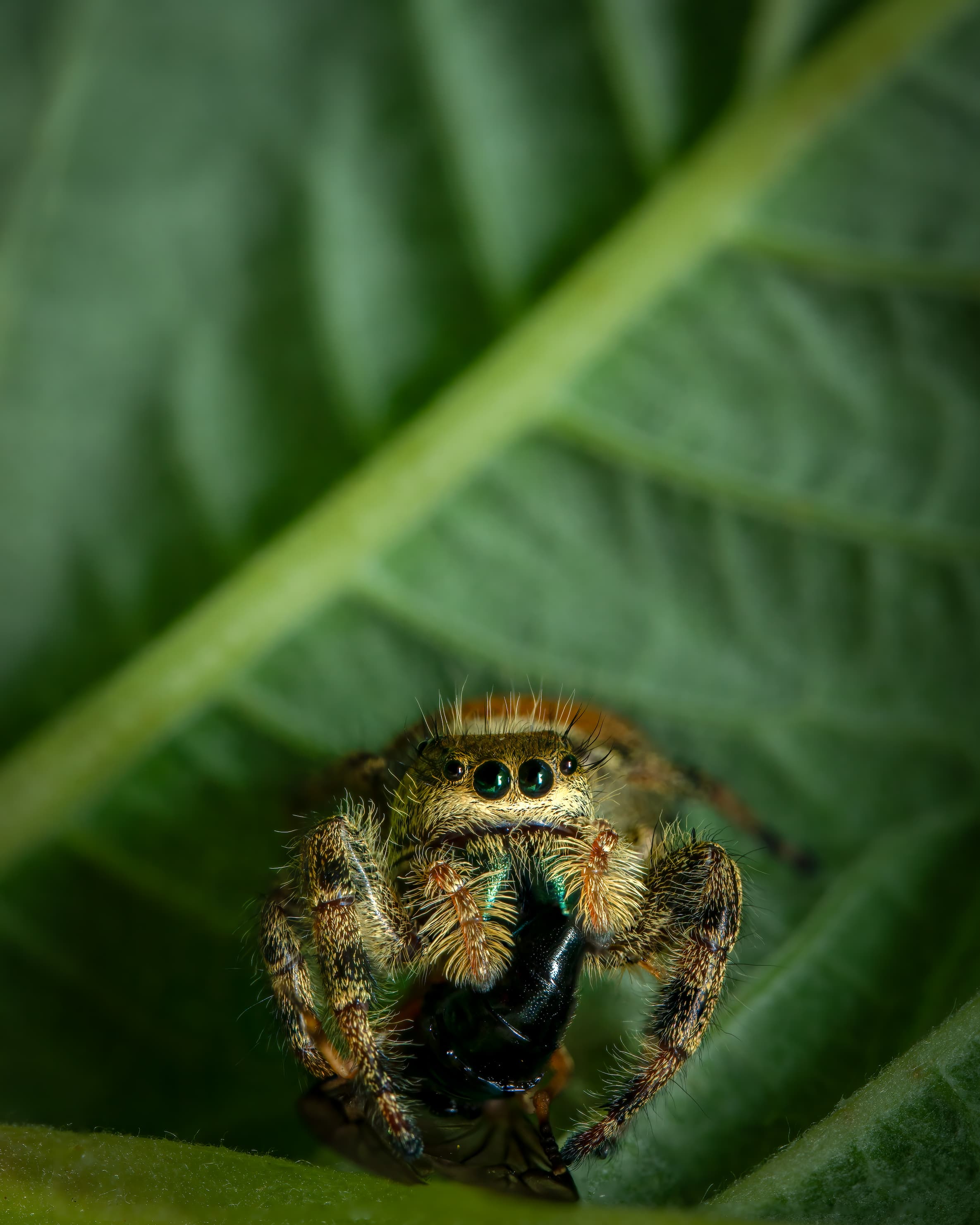 2026 Creature Calendar