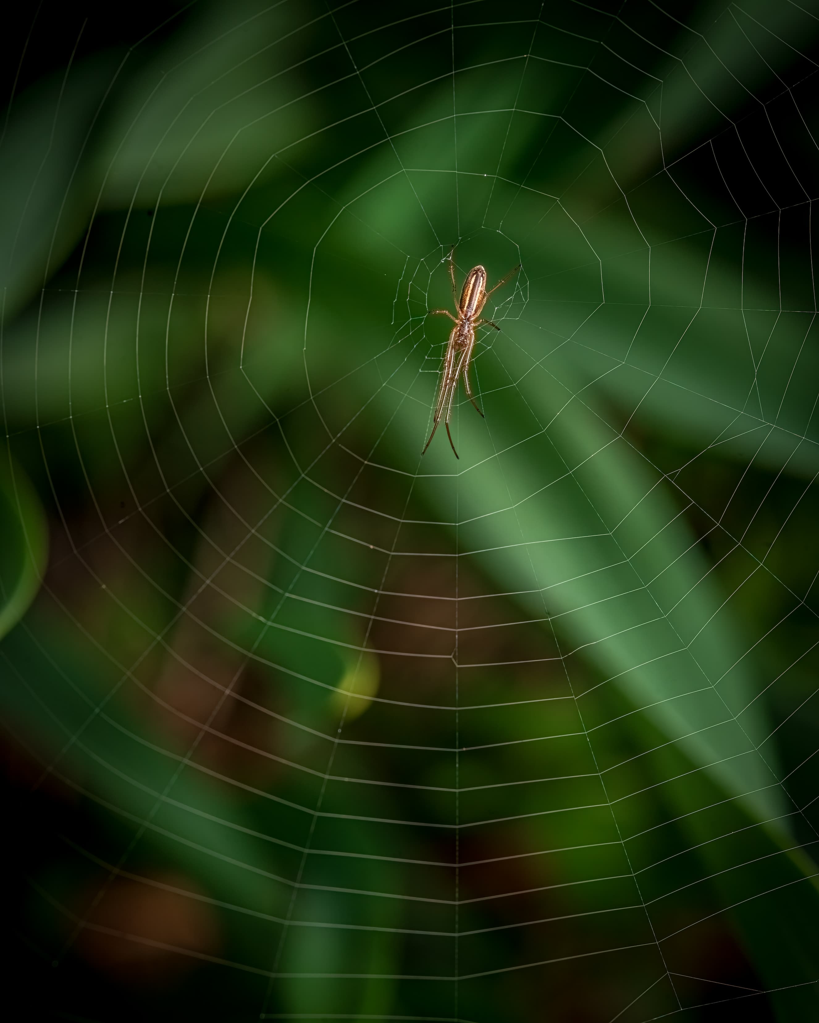 2026 Creature Calendar