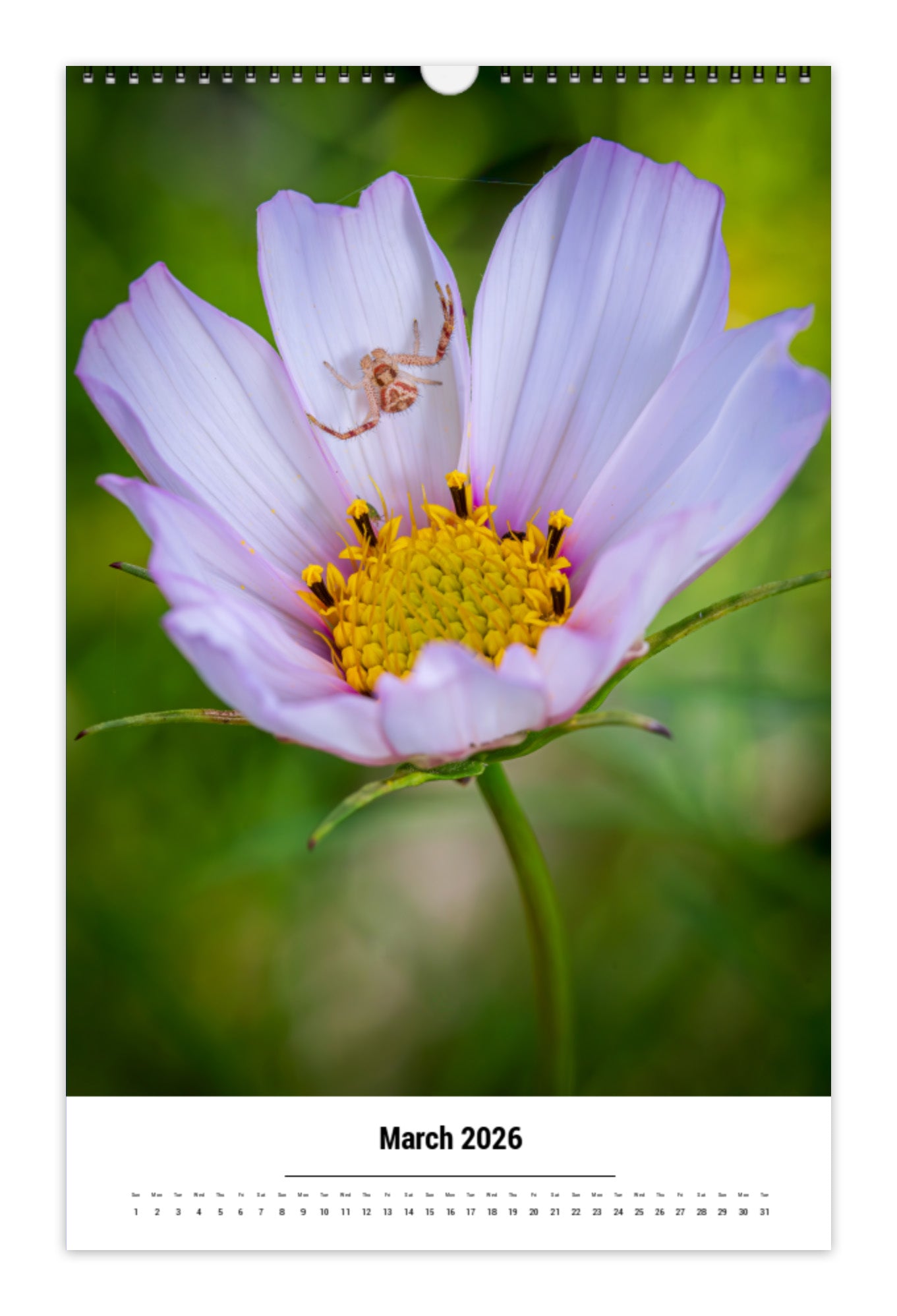 2026 Creature Calendar