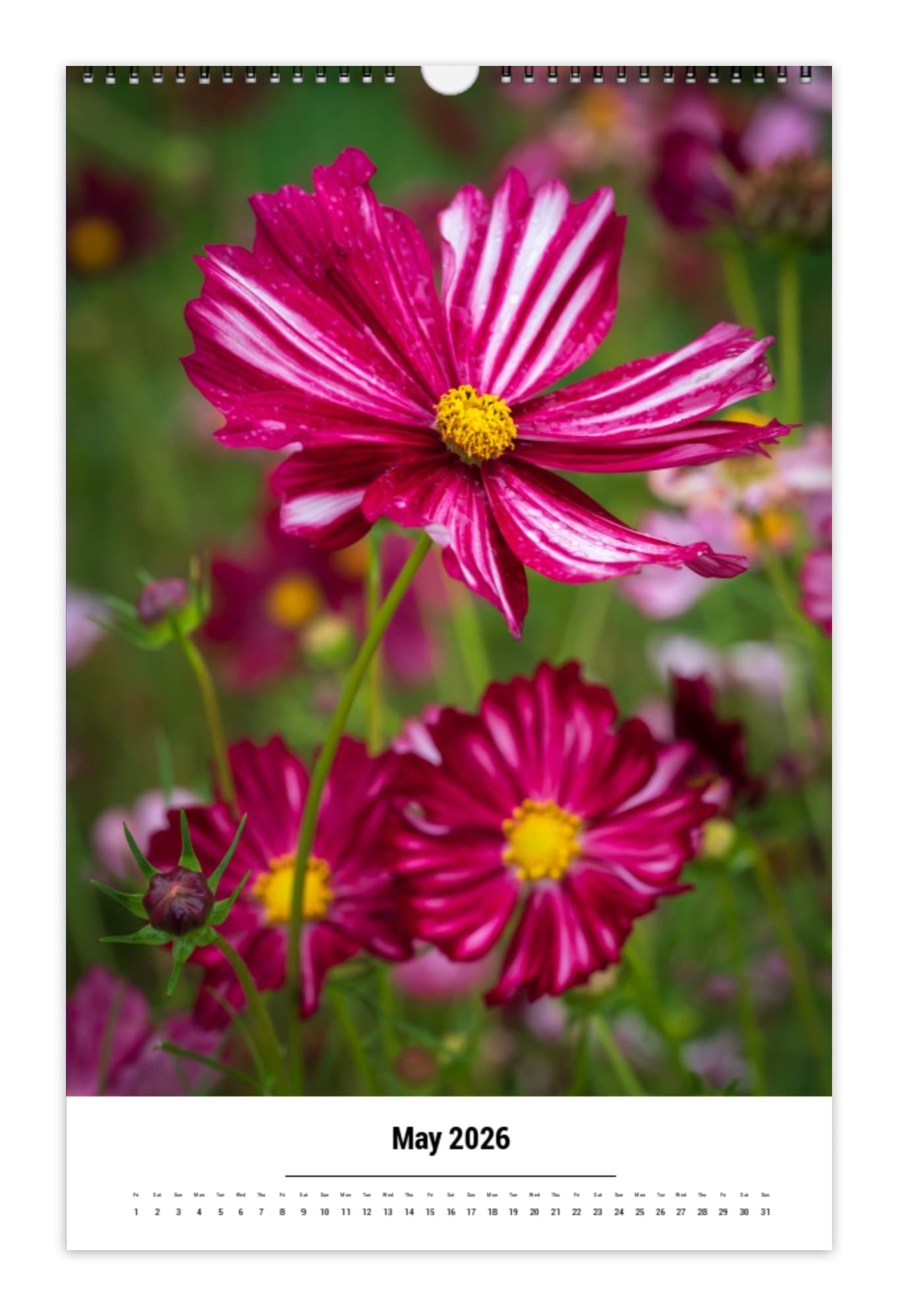 2026 Floral Calendar