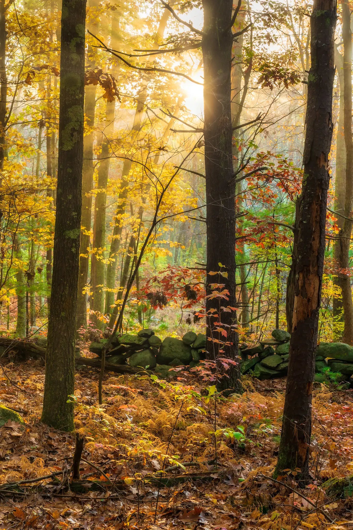 Autumn in Southern New Hampshire