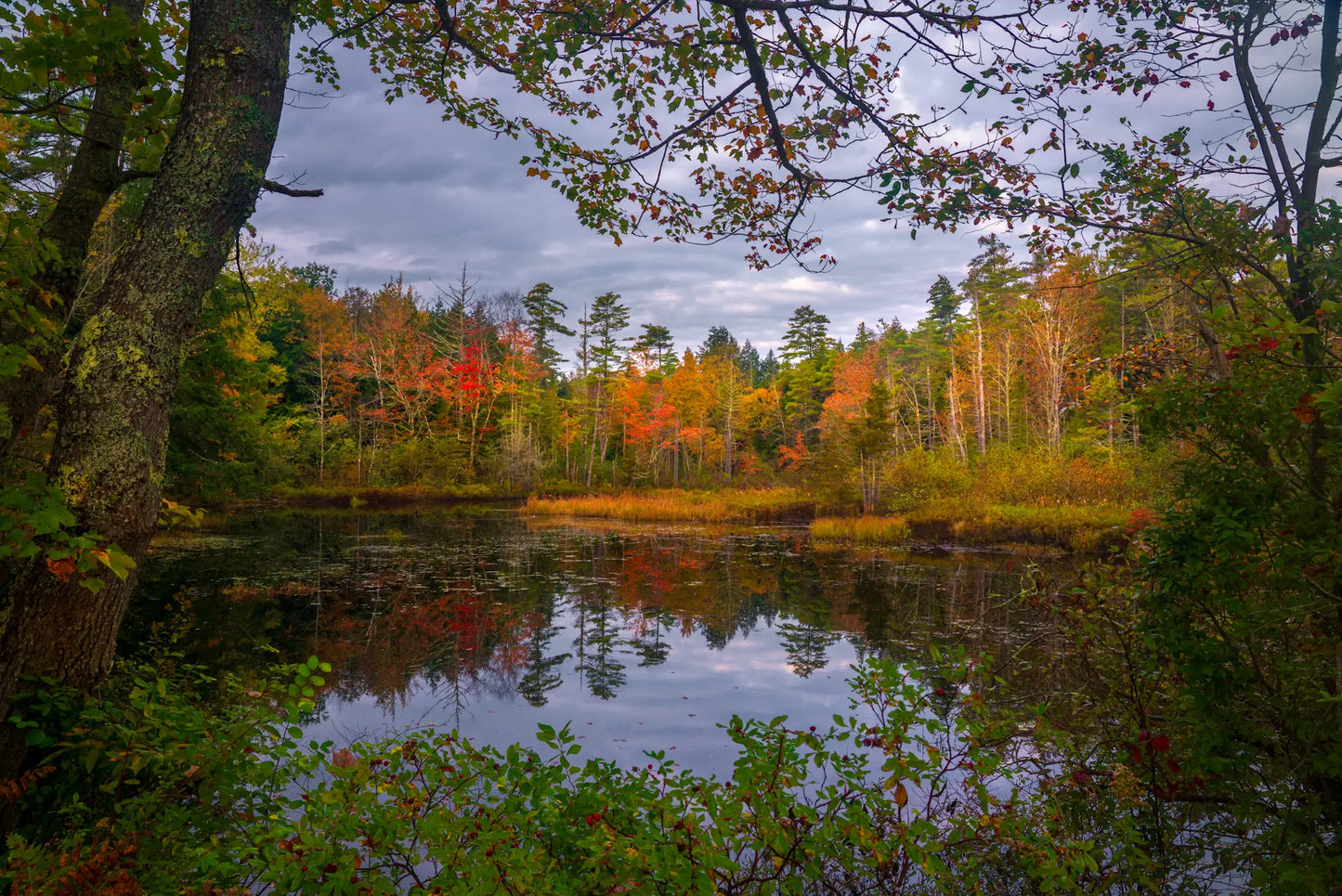 Early autumn in Southern Maine