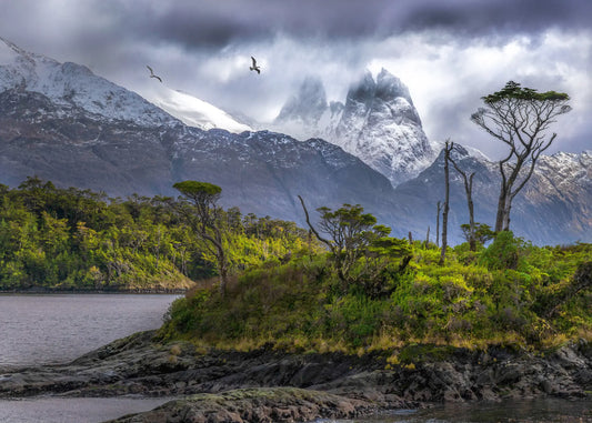 Grupo la Paz in the clouds. Yes, the seagulls were really there. One was chasing the other with a bug in it's mouth.