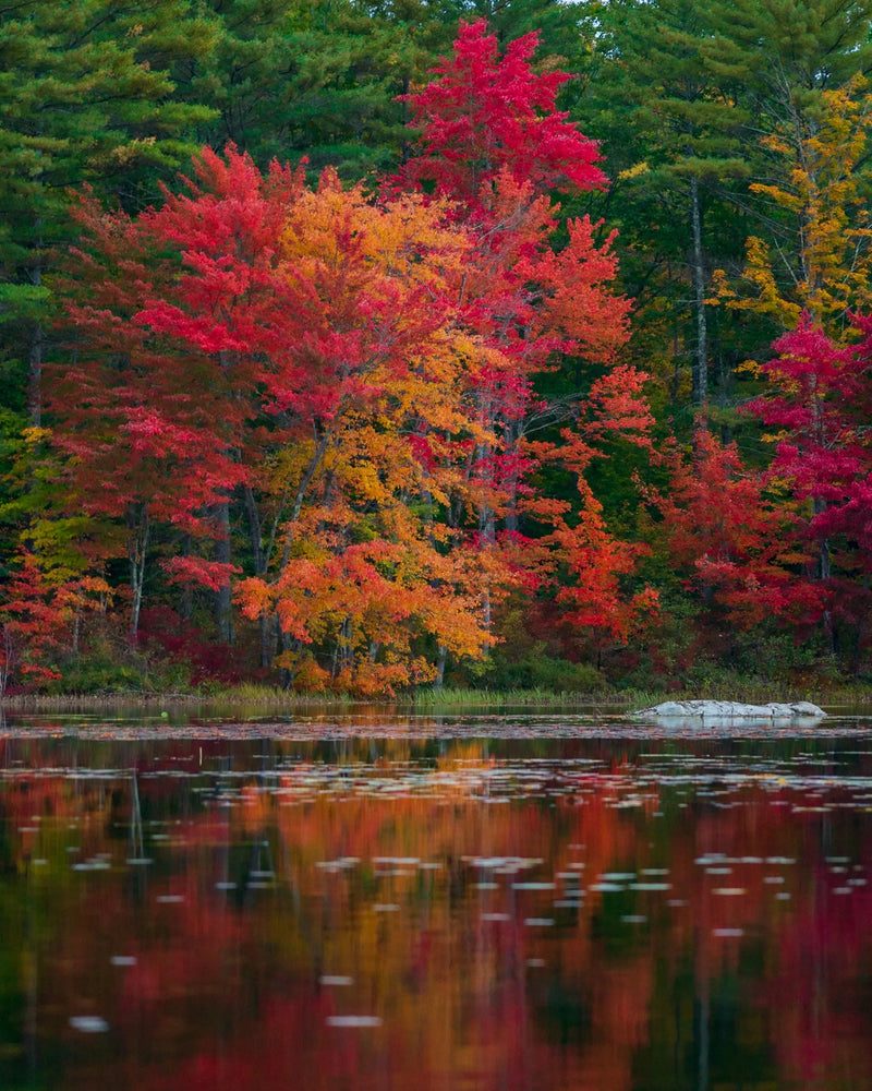 Reflections from a canoe