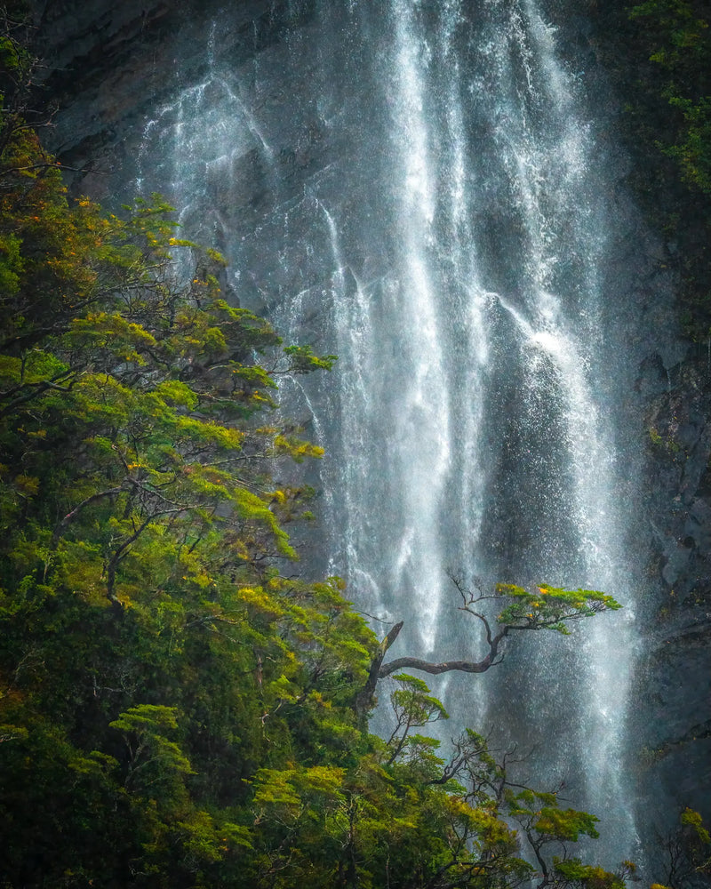 The walls of the fjords contain countless waterfalls