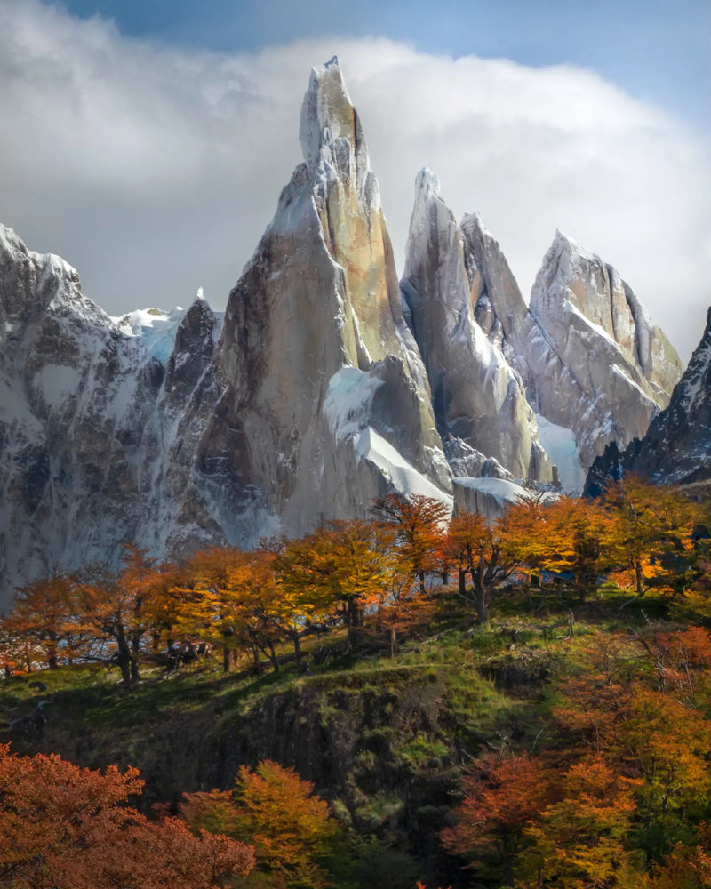 Build compositions with layers. In this case the autumn trees in front of Cerro Torre.