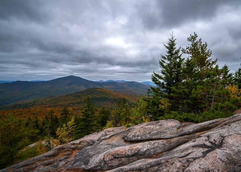 Autumn in the White Mountains